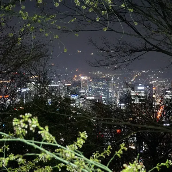 라운지 예리웰빙 홈타이 대표 안내 이미지