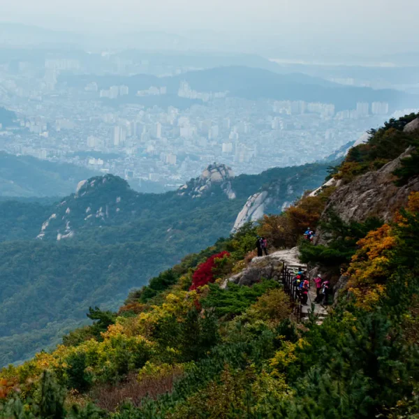 프리미엄 제니스튜디오 테라피 대표 안내 이미지
